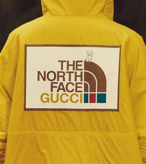 orth face x gucci|gucci north face price.